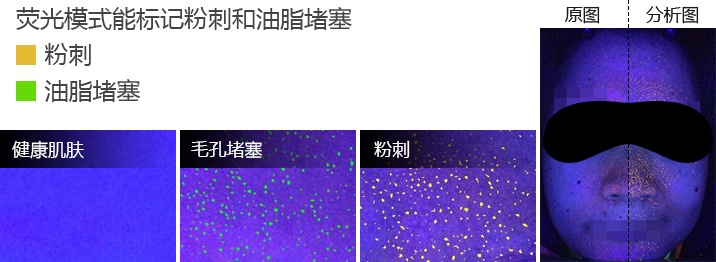 荧光模式